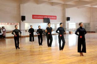 江西省体育行业国家职业资格 体育舞蹈 社会体育舞蹈指导员培训及鉴定工作在我校开展